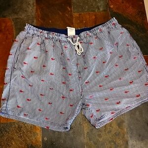 Men's XL Exist Swim Trunks Whales Stripes